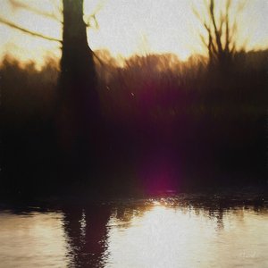 Violet Haze by Helen White