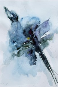 Blue Watercolor Bloom by Helena Ryhle