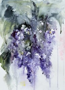 Soft Purple Wisteria by Helena Ryhle