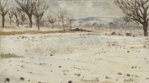 Bonn on the Rhine. Winter Landscape by Helmer Osslund