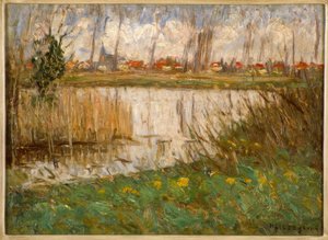Backwater in Early Spring