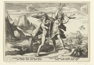 Daphne Transformed into a Laurel Tree