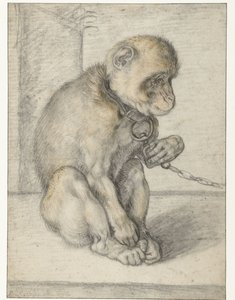 A Seated Monkey on a Chain by Hendrick Goltzius