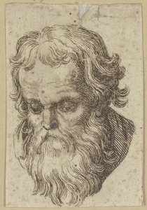 Head of a Bearded Man, Bent Forward by Hendrick Goltzius