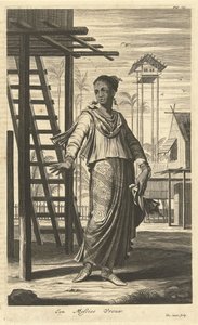 Portrait of a Woman of Mixed Ethnicity (A Mestizo Woman) by Hendrik Causé