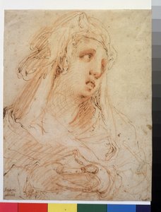 Portrait Of A Woman (Marie Madeleine?) by Hendrik Goltzius