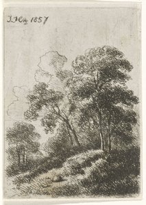 Trees on a Hill by Hendrik Jan Hein