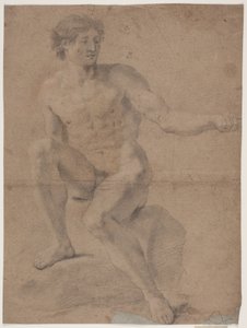 Male Model Study by Hendrik Krock