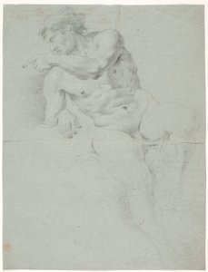 Male Model Study