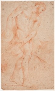 Male model study, standing by Hendrik Krock