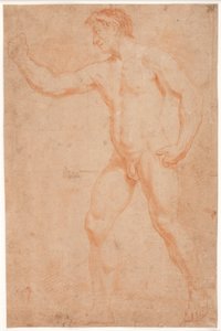 Male Model Study, Standing, with Raised Arm by Hendrik Krock