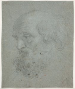 Bearded Man