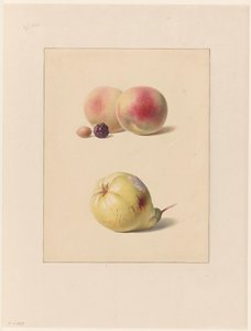 Peach, Blackberry, and Hazelnut and a Pear by Hendrik Reekers