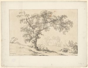 Tree in Landscape Tentamina Lithographica (series title) Italian Landscapes (series title) by Hendrik Voogd