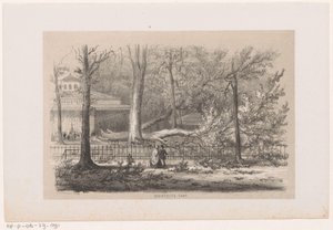 Fallen Tree by the Society, After the Storm of May 28, 1860 by Hendrik Wilhelmus Last