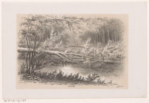 Fallen Tree After the Storm of May 28, 1860