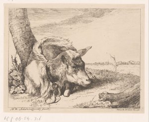 Lying Goat by Water (Various Animals)