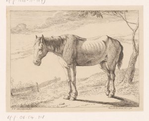 Horse (Various Animals series)