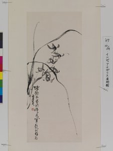 Orchids by Hengke Chen