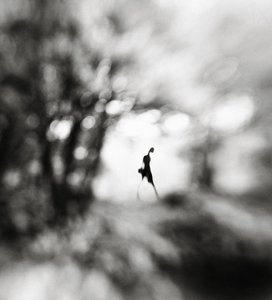 Ethereal Lone Figure