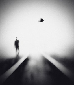Solitary Man Flying Bird