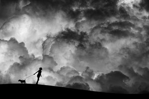 Stormy Sky Dog Walk by Hengki Lee