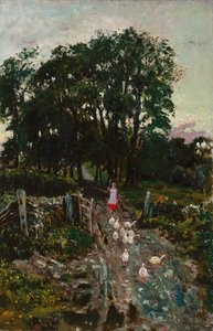 Girl with Ducks