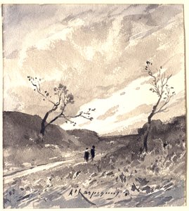 Landscape in Les Landes