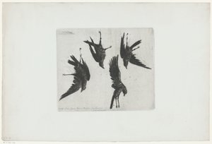 Four Dead Crows Hanging on a Wall