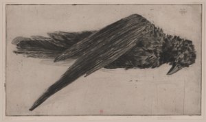 The Large Hanging Raven