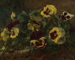 Pansies