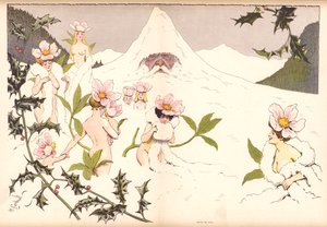 Christmas Roses