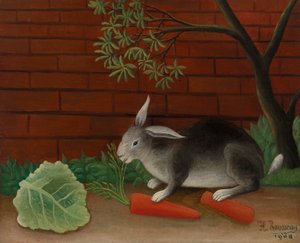 Rabbit