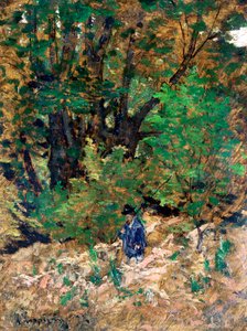 At Home in the Forest