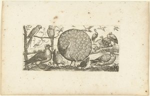 Eighteen birds (series title: Birds)