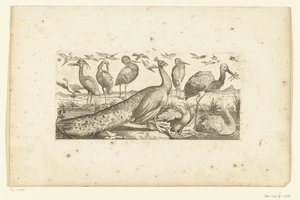 Nineteen Birds (Birds)