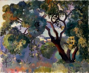 Landscape in Saint-Tropez