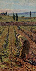 The Farmer