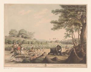 Bear Hunt in India by Henri Merke