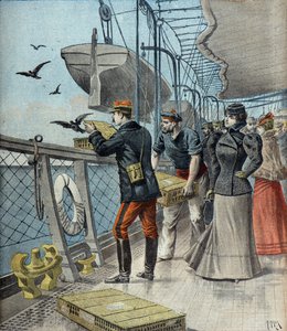 Captain Reynaud Experimenting with Carrier Pigeons Aboard the Liner La Bretagne by Henri Meyer