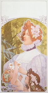 Cacao