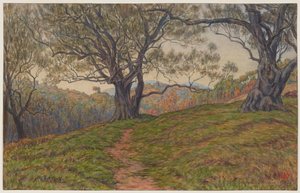 Study of Olive Trees. Cagnes by Henri Rivière