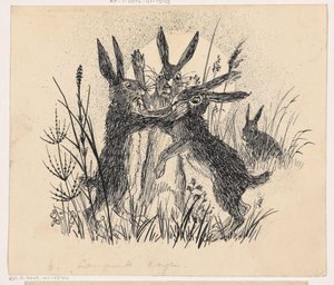 Fighting Hares
