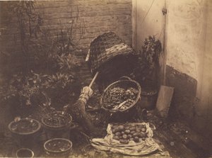 Still Life with Straw Baskets, Broom, Opened Sack of Potatoes and Potted Plants