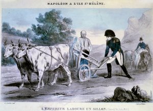 Napoleon I at Saint Helena: The Emperor Plows a Furrow