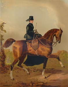 A Ladies Horse - The Property of the Late Earl of Pembroke, c. 1840s, c. 1879 by Henri d