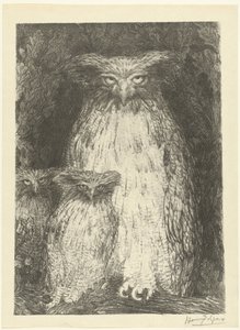 Owl with Two Owlets Sitting on a Branch