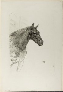 Philibert the Pony by Henri de Toulouse-Lautrec