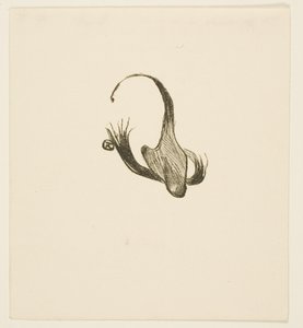 Tailpiece from Au Pied du Sinaï by Henri de Toulouse-Lautrec