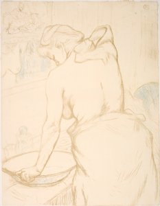 Woman Washing, the Toilet